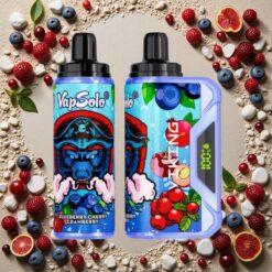 Blåbær Kirsebær Tranebær VapSolo VIKING 12000 Puffs Type-C Display