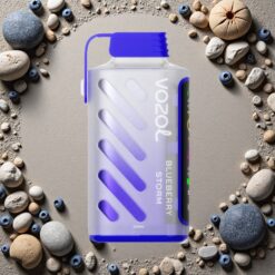 Blåbær Storm VOZOL Gear Power 20000 Puffs Dual Mesh Coil