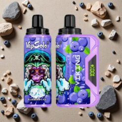Blåbær VapSolo VIKING 12000 Puffs Type-C 22ml 20/50 mg/ml
