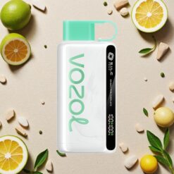 Citron Mynte VOZOL STAR 9000 Puff 650mAh Genbrugsplast