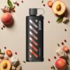 Mango Fersken VOZOL Gear 25000 Puffs Shisha Dual Mesh
